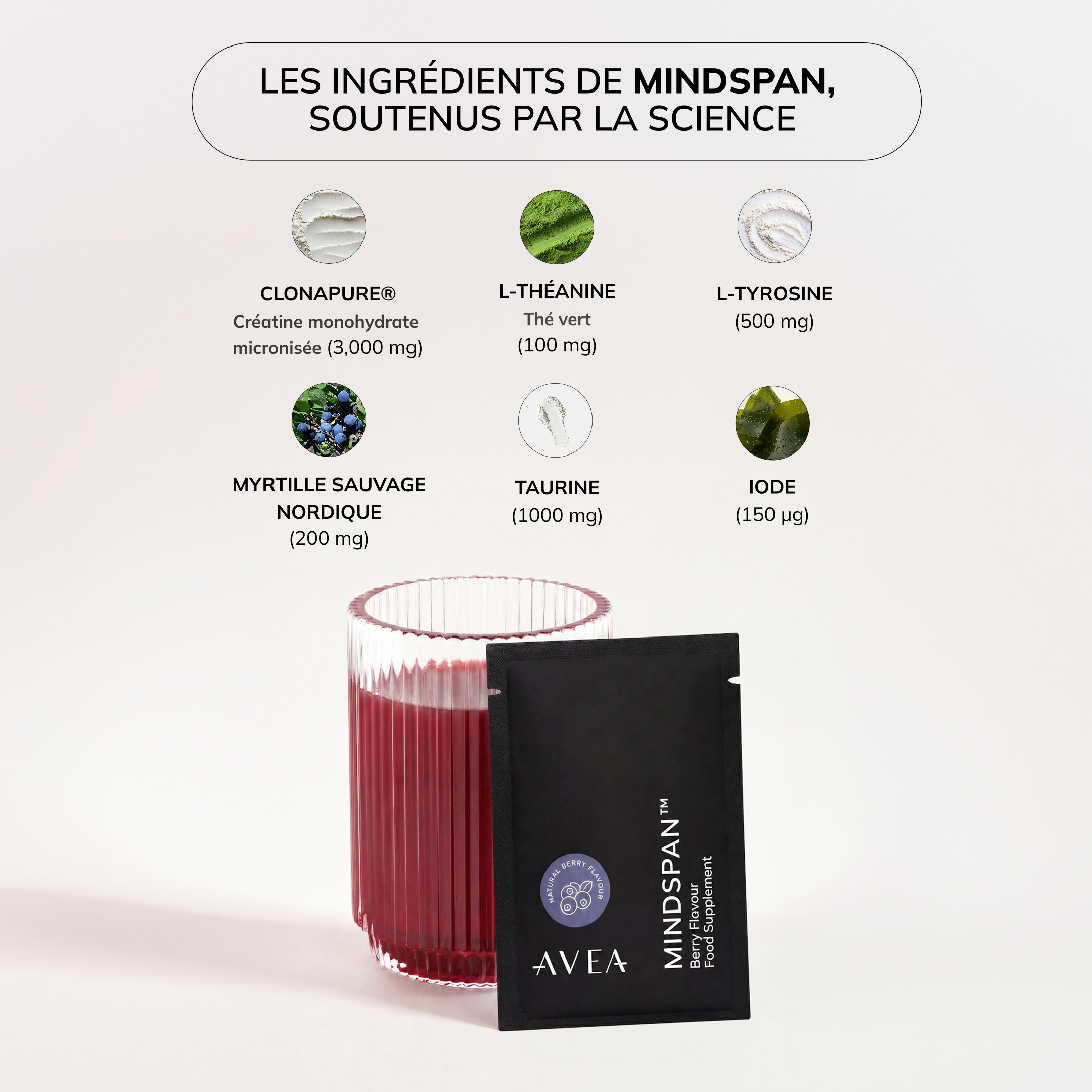 MindSpan_PDP_Ingredient_Carousel_1_LANG_FR.png