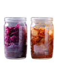 Fermented Food & Drinks